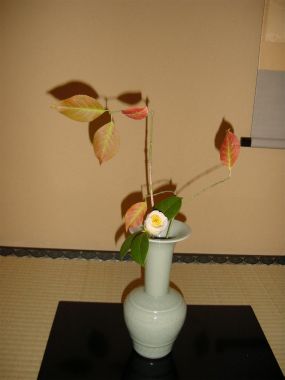 tea-flower1
