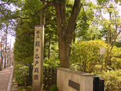 殿ヶ谷戸公園
